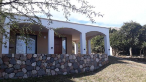 ASM CASA III